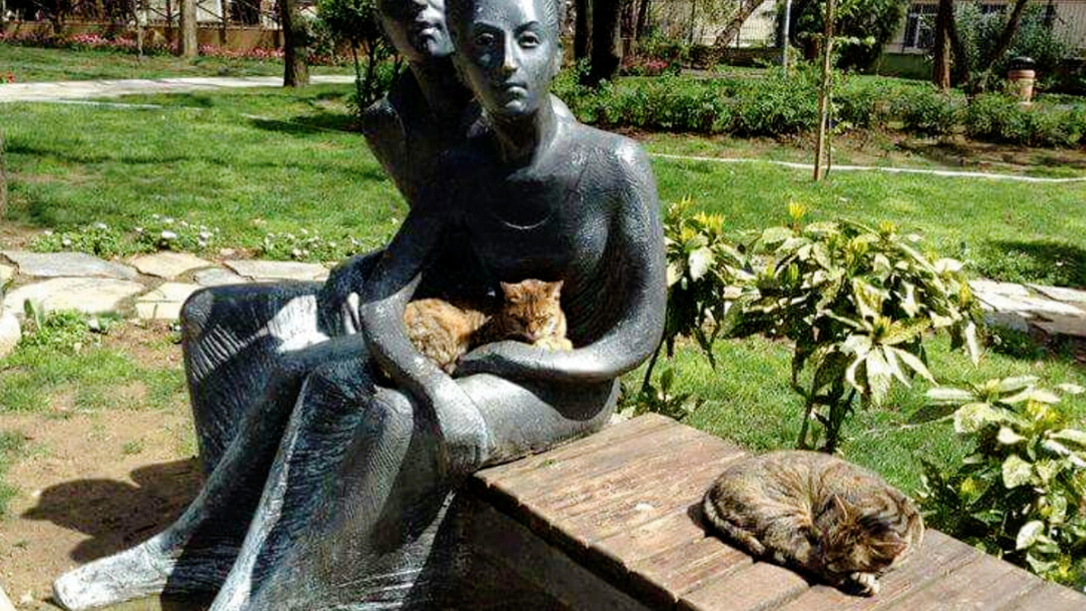 Разрешите посидеть у вас на руках