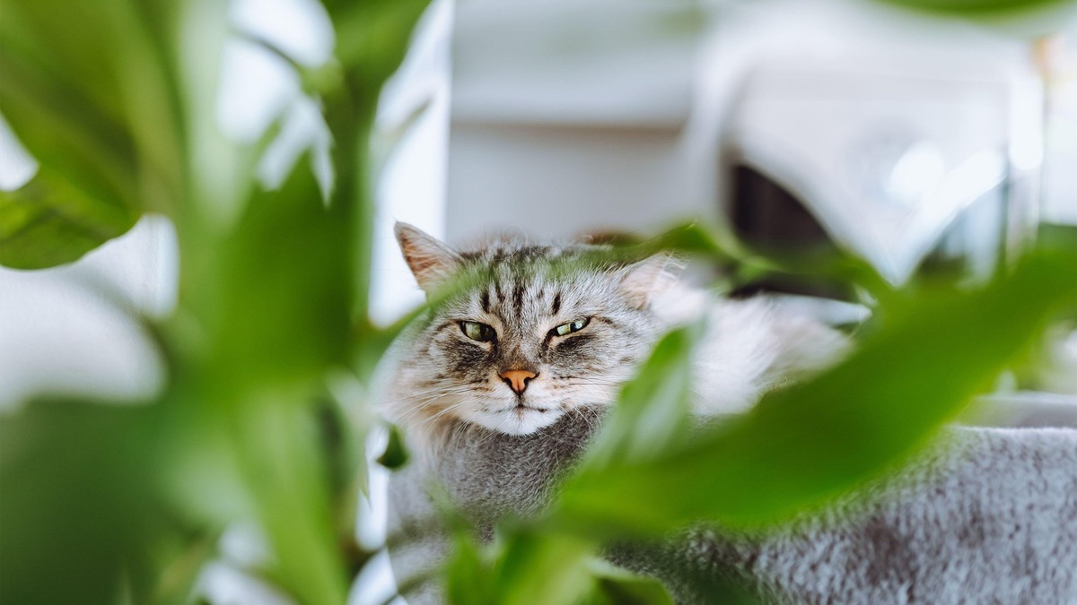    Комфорт и безопасность — главные принципы послеоперационного ухода