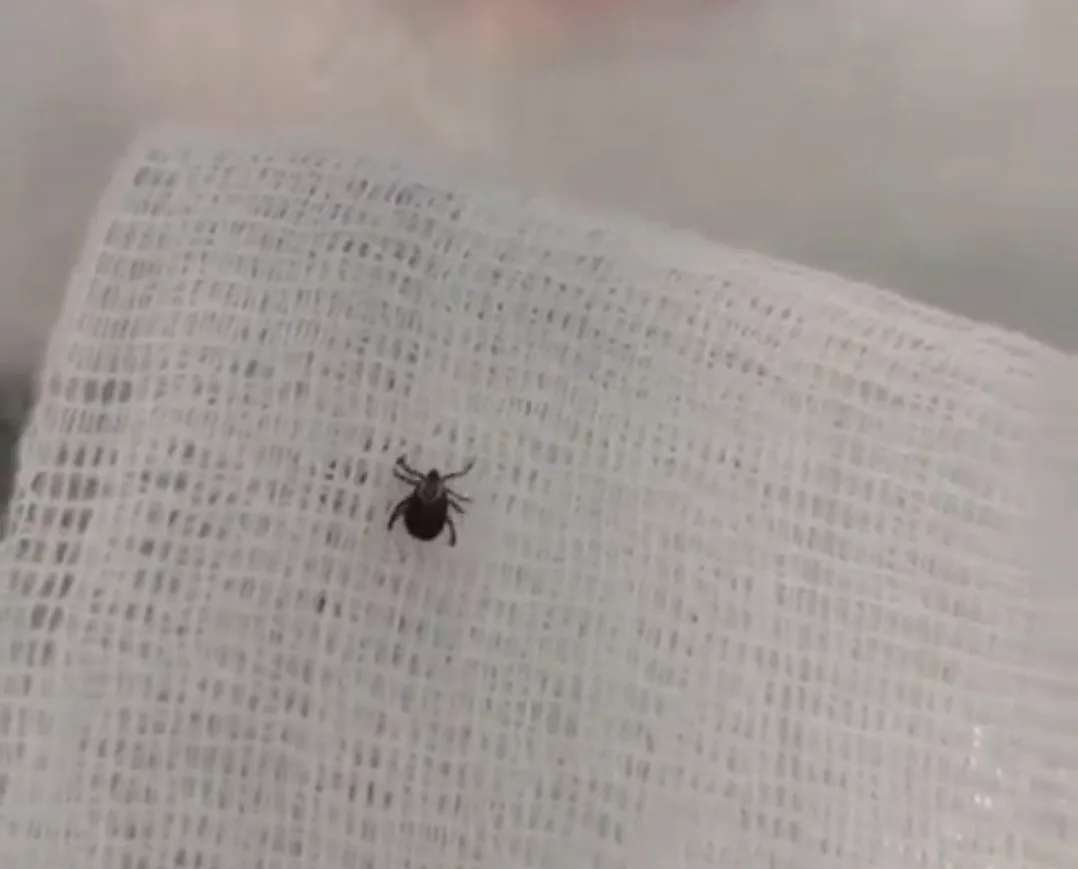 скриншот видео от пресс-службы НЦРМБ