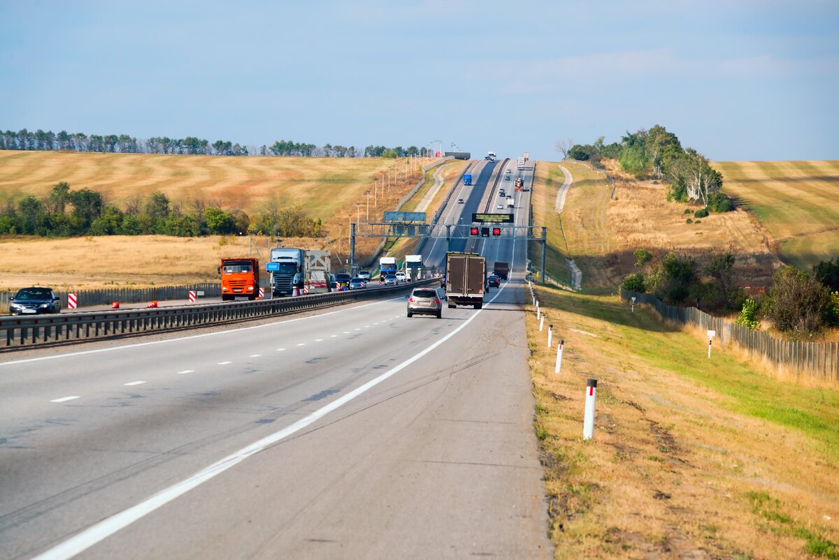    фото: Aleksei Marinchenko/Shutterstock/Fotodom.ru