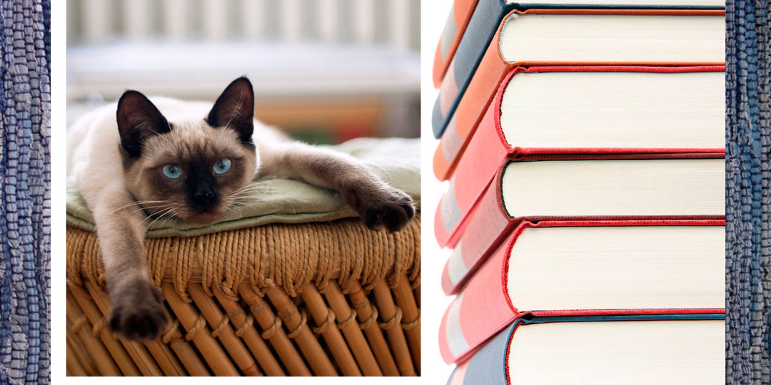 10 книг про кошек