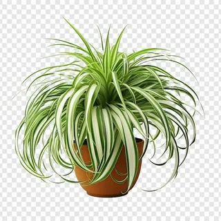 Картинка из интернета.