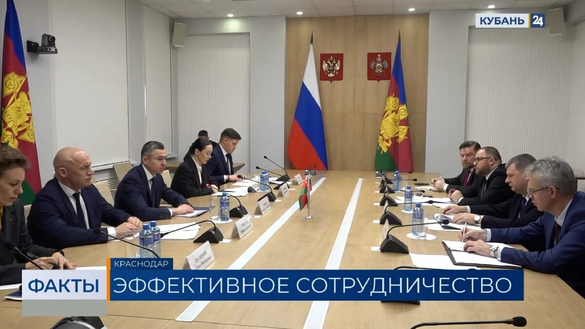    Скриншот видео телеканала «Кубань 24»