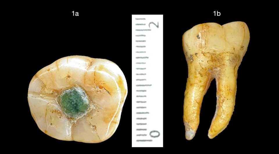   Estuardo Mata-Castillo et al. / Journal of Archaeological Science: Reports, 2026