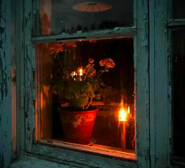 Неудачное задержание Ирины по кличке Волчица