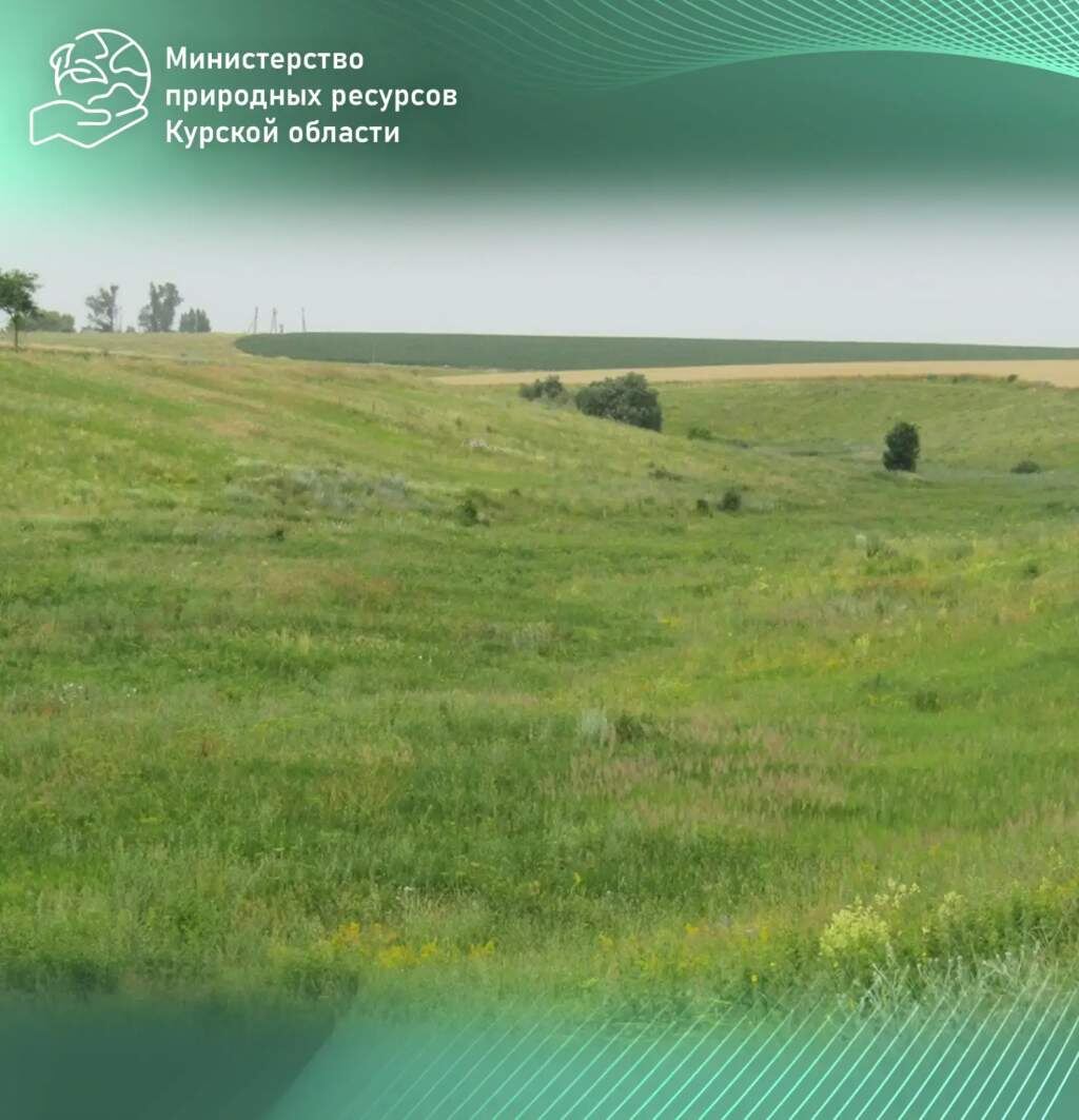    фото: Министерство природных ресурсов Курской области