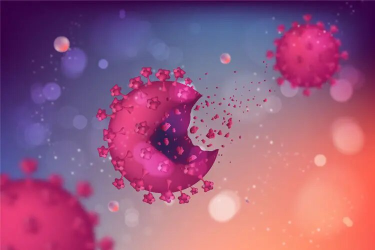    Источник: scientificrussia.ru Даниил Власов