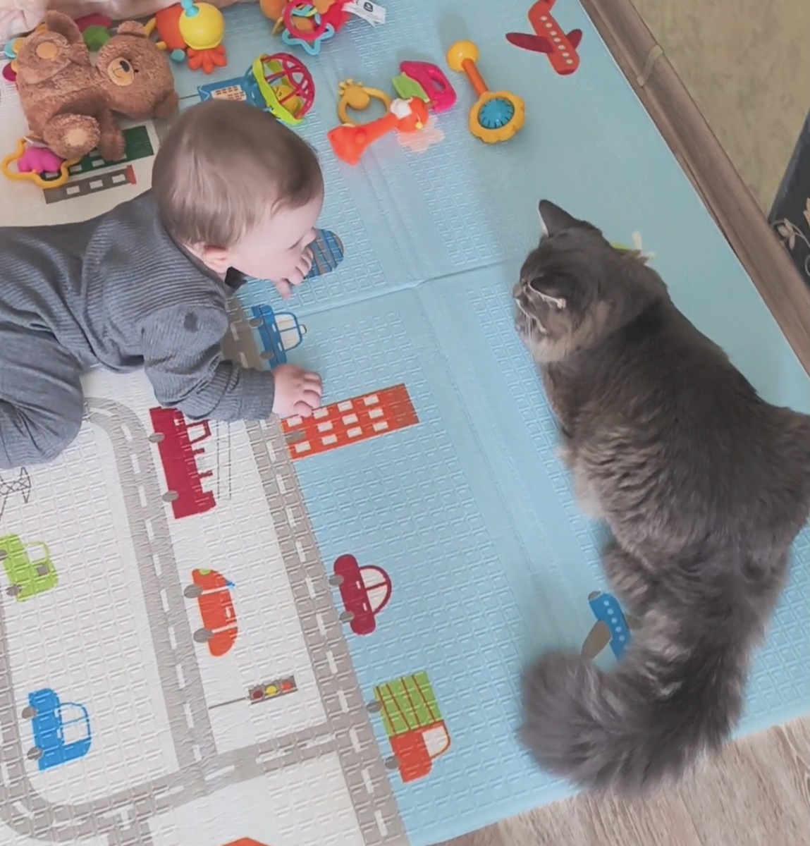 Фотографии в статье авторские. 