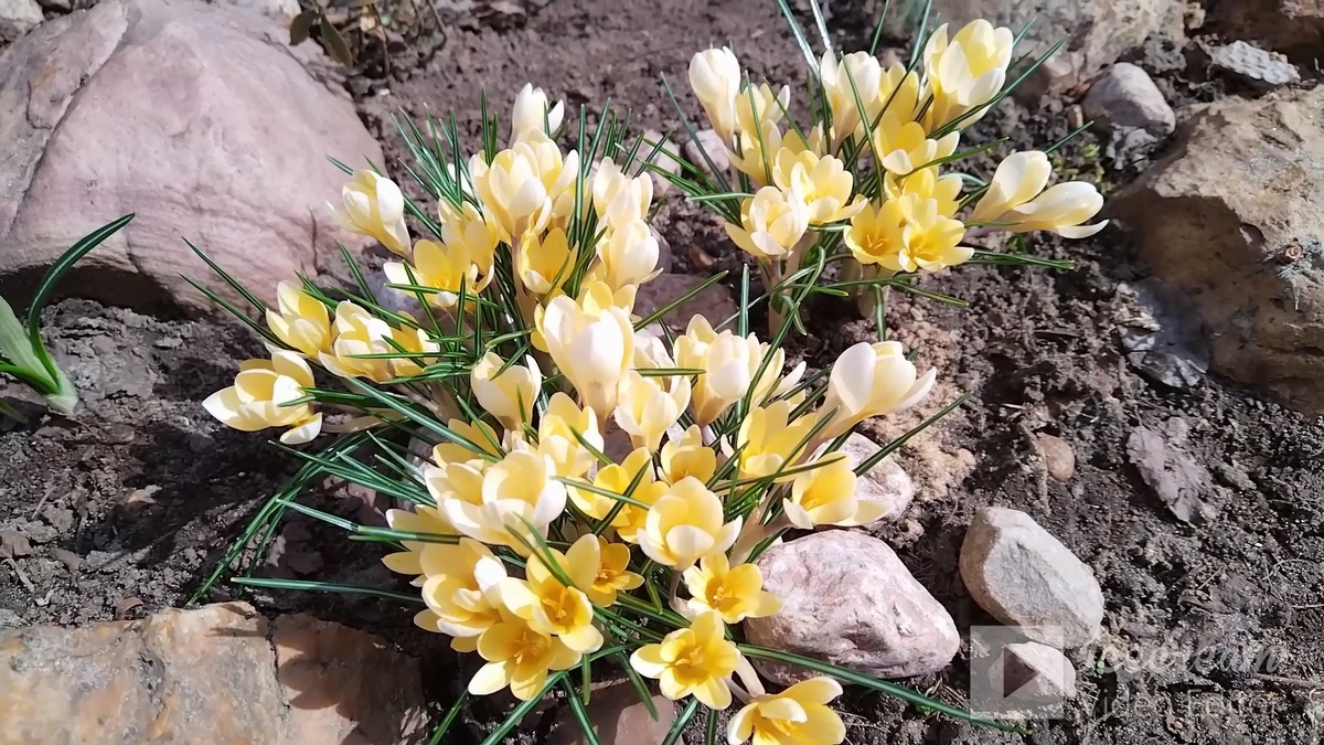 Земля просыпается от зимнего сна.