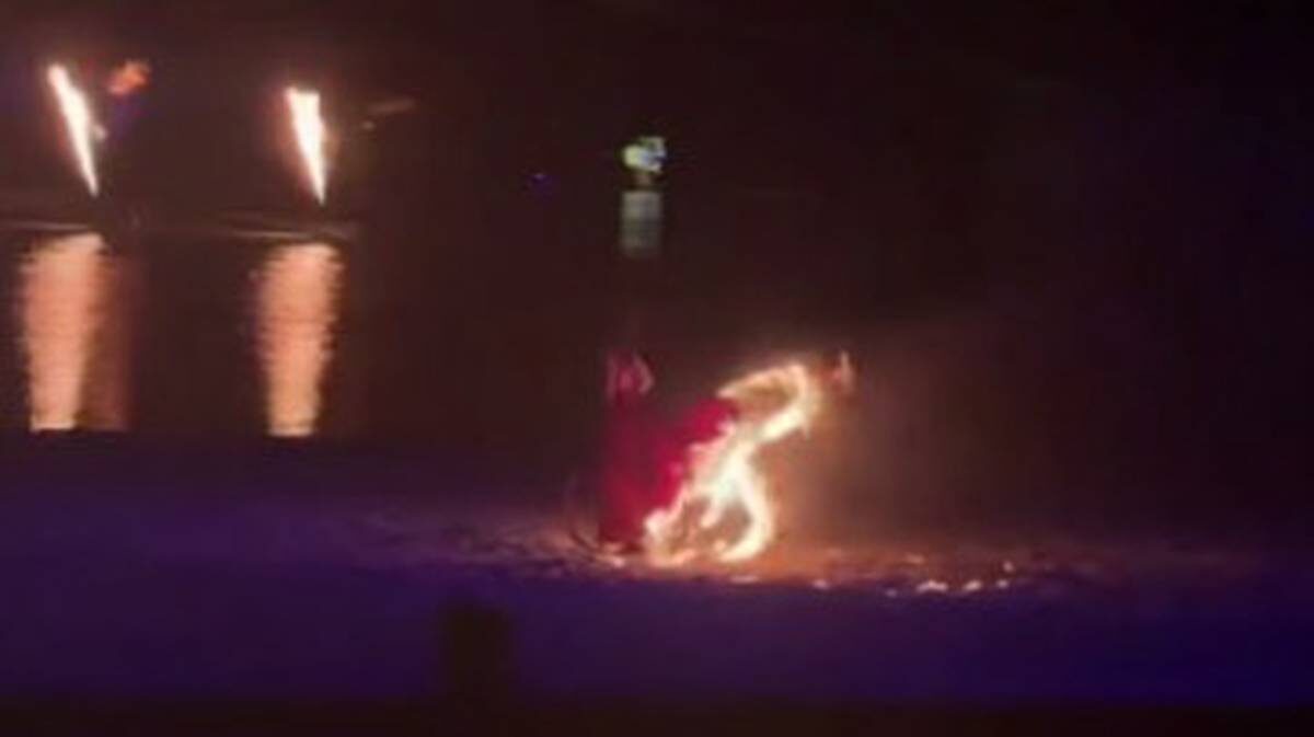    Фото: Скриншот / РИА Новости/ Telegram