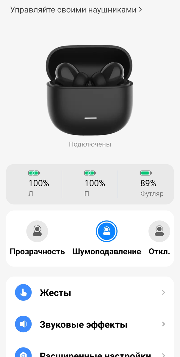 Примерно так выглядит Приложение для TWS наушников