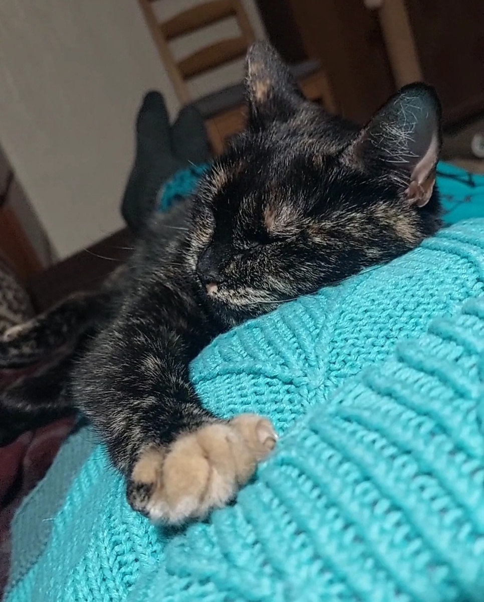 Фото автора.