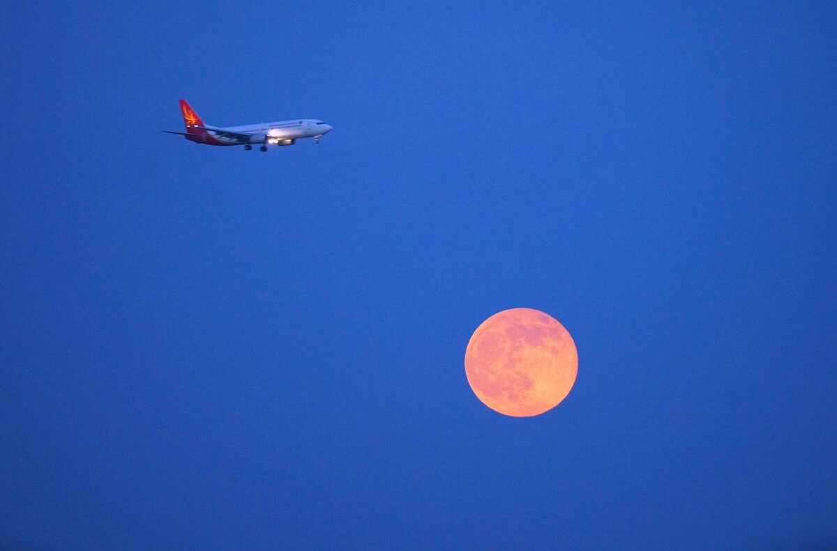     / Источник: © Global Look Press