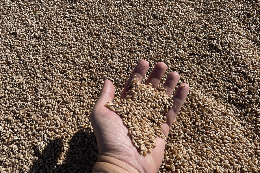 Источник фото: ElDala.kz