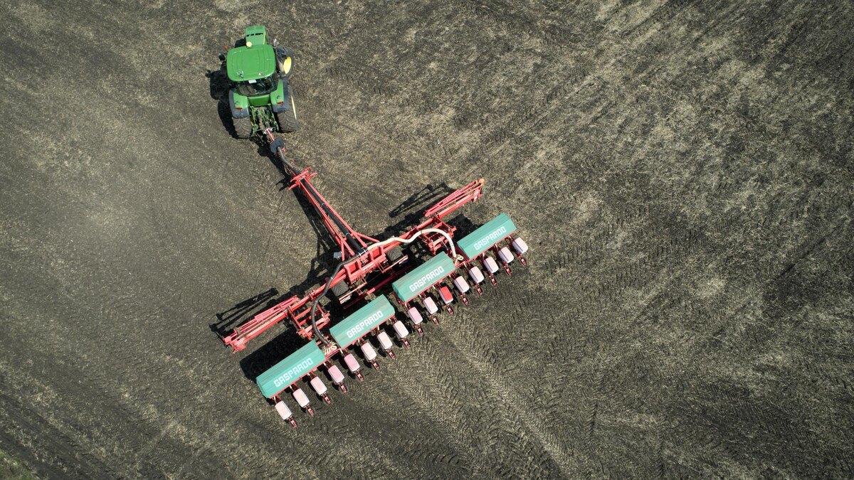    Фото: Nikolay Gyngazov/Global Look Press