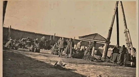 Конц. лагерь 1. Источник: офицальный сайт Лужского благочиния 
