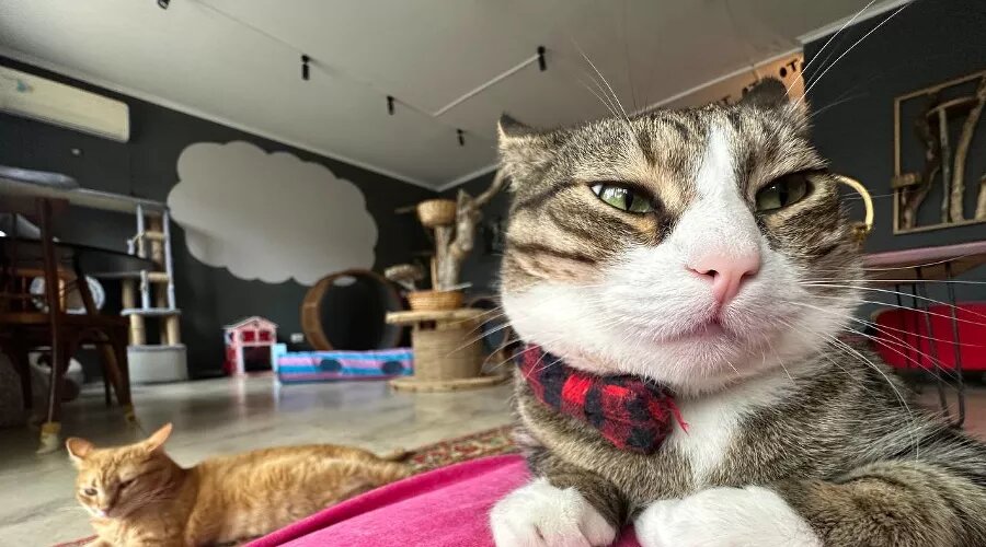   Фото предоставлено Ангелиной Тарановой