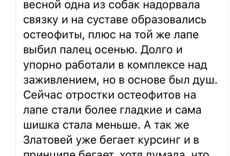 Как я помогаю владельцам освоить Душ Алексеева на патронаже