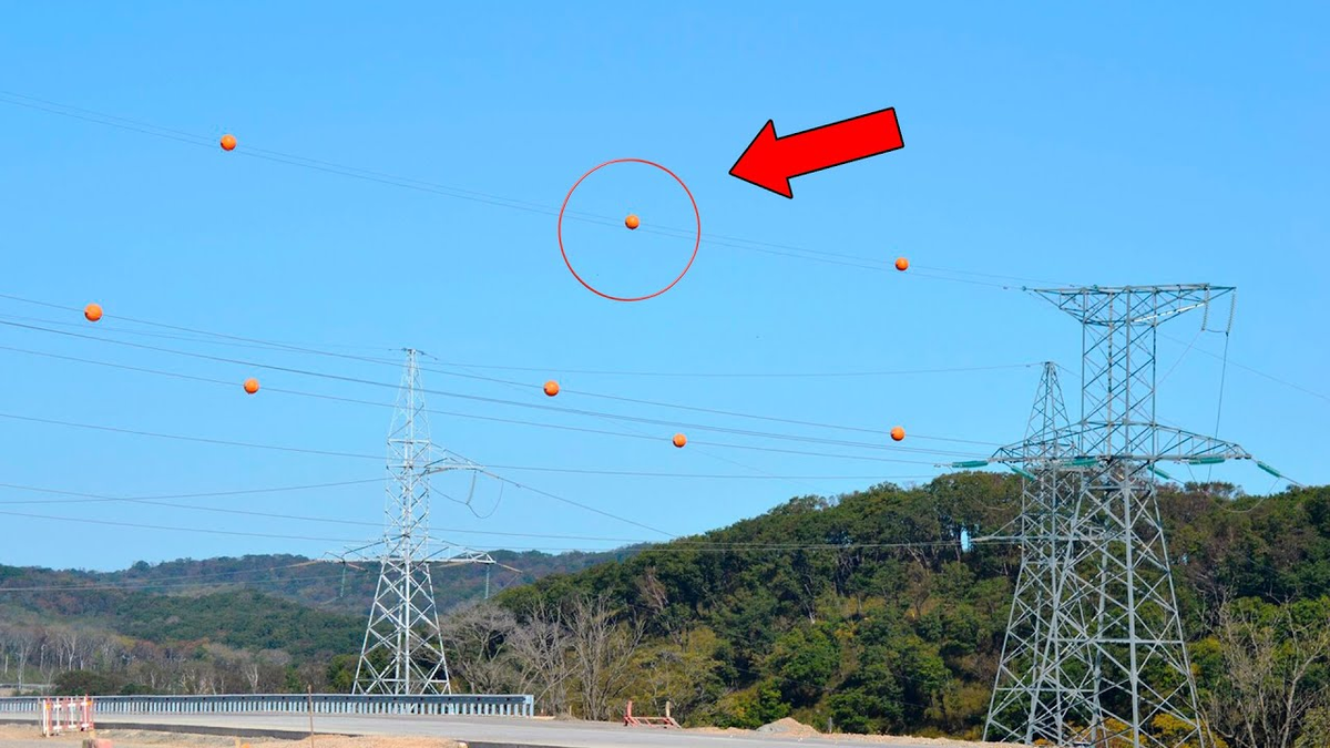 Фото с  Яндекс.Картинки