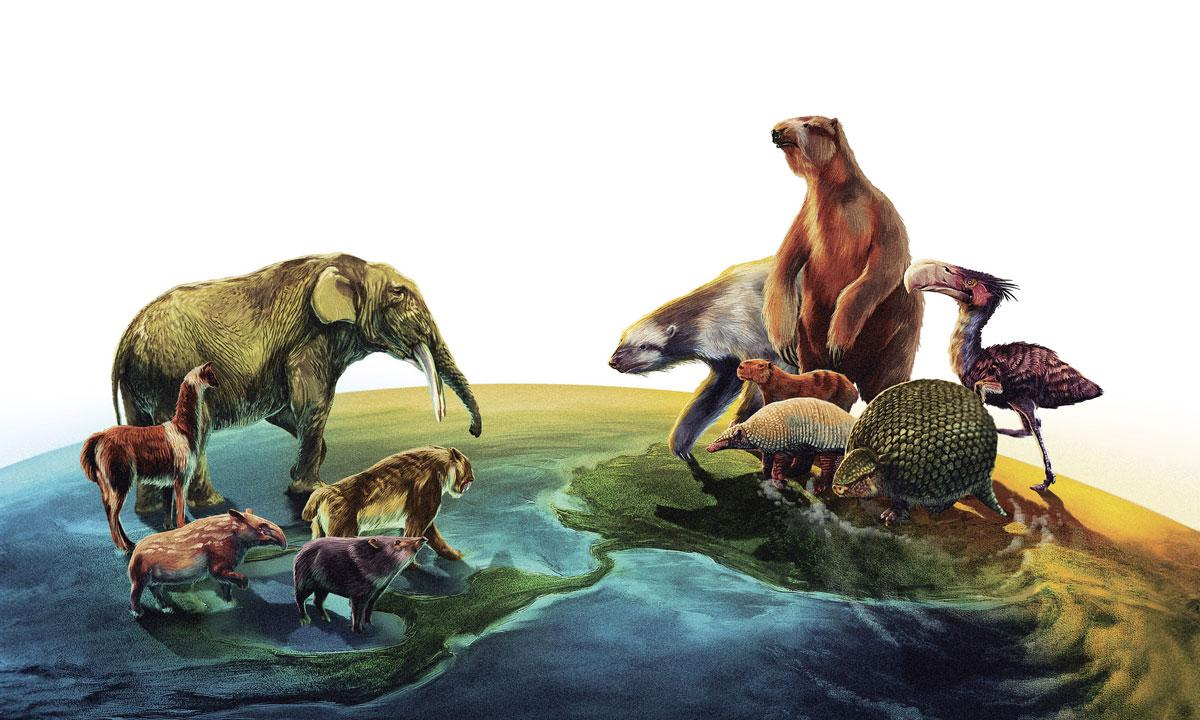 Великий межамериканский обмен - одно из главных событий миграции