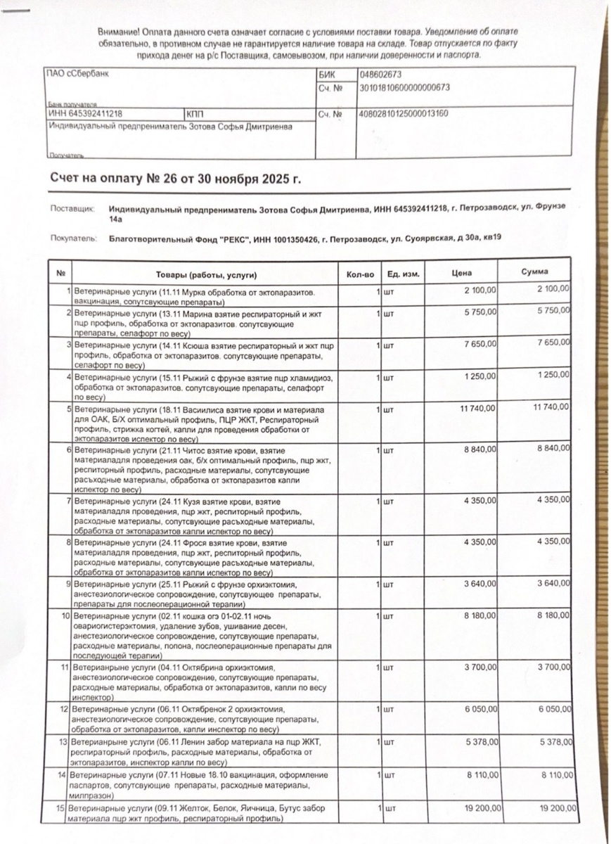    Карельский фонд помощи животным «Рекс» приостановил работу из-за крупного долга© Столица на Онего