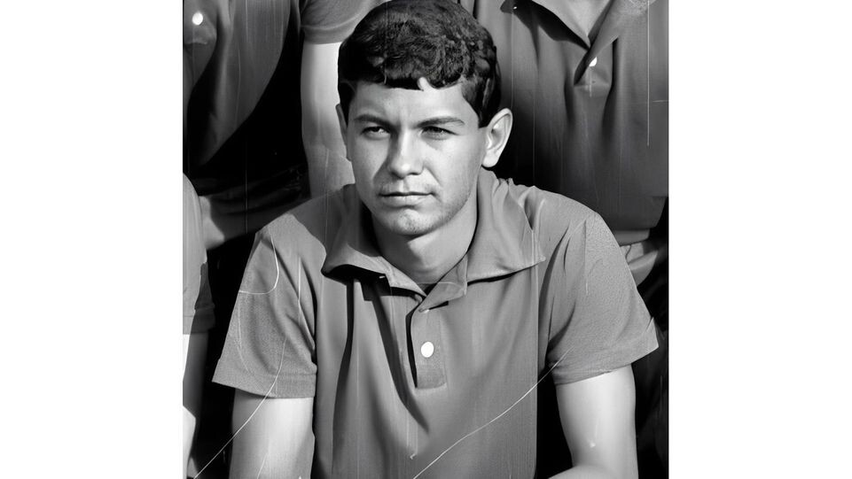    Мирча Луческу / Википедия