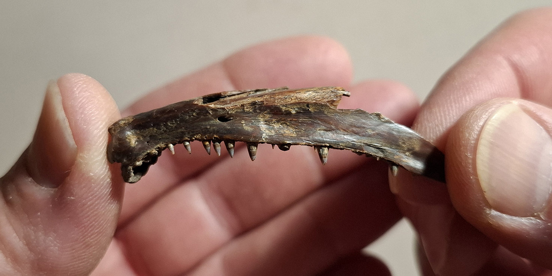 Древности нашей земли. Часть 75-я. Находки с берега Дона