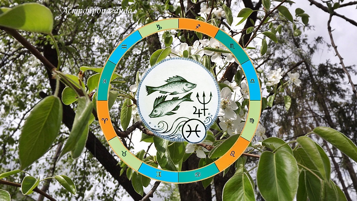 Гороскоп для Рыб с 30 марта по 3 мая 2026. 