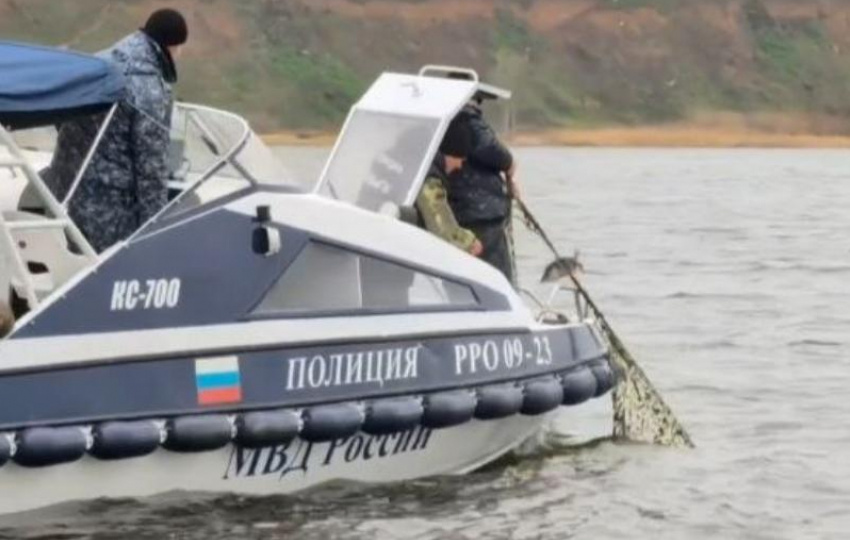 Километры нелегальных рыболовных сетей и сотни спасённых рыб: итоги операции Путина-2026 в Таганрогском заливе