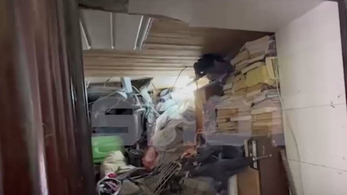    Фото: скриншот / Shot / Telegram