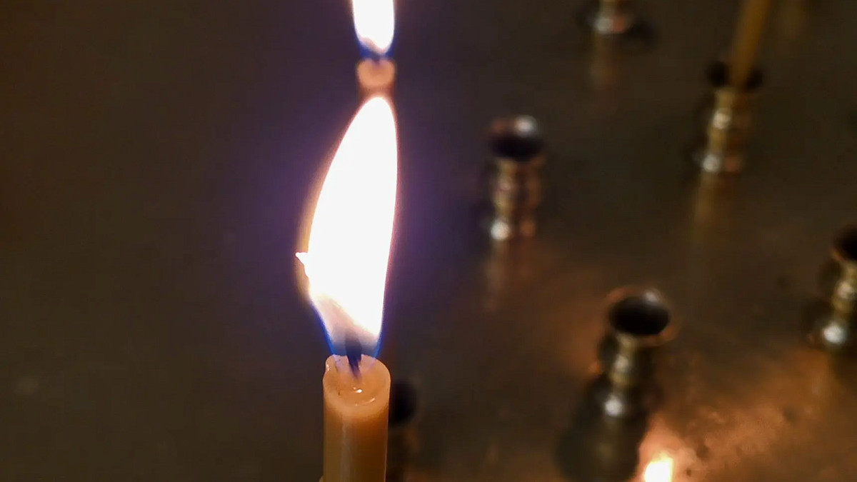    Фото: телеканал «Краснодар»