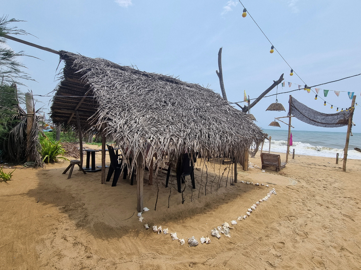 Шри-Ланка. Фото автора статьи.