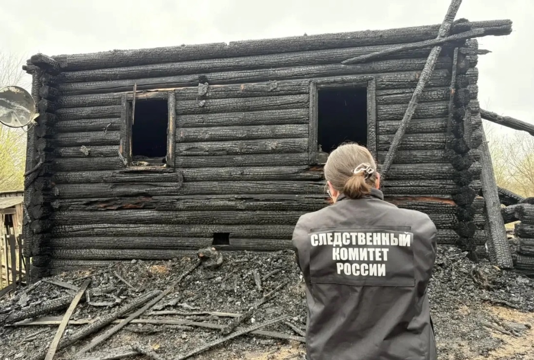    Соцсети / СК РФ по Новгородской области