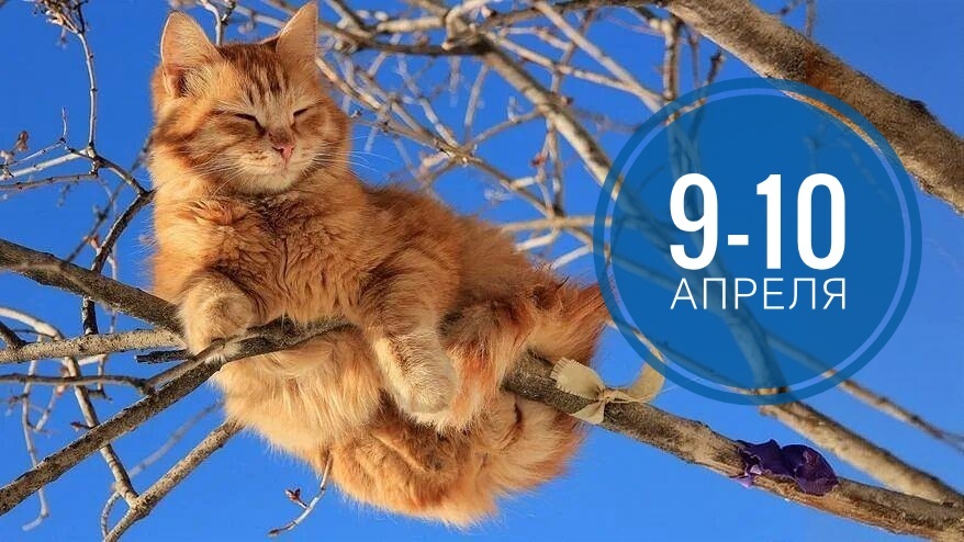 Нумерологический прогноз на 9 и 10 апреля 2026: от суеты и общения к домашнему уюту и гармонии