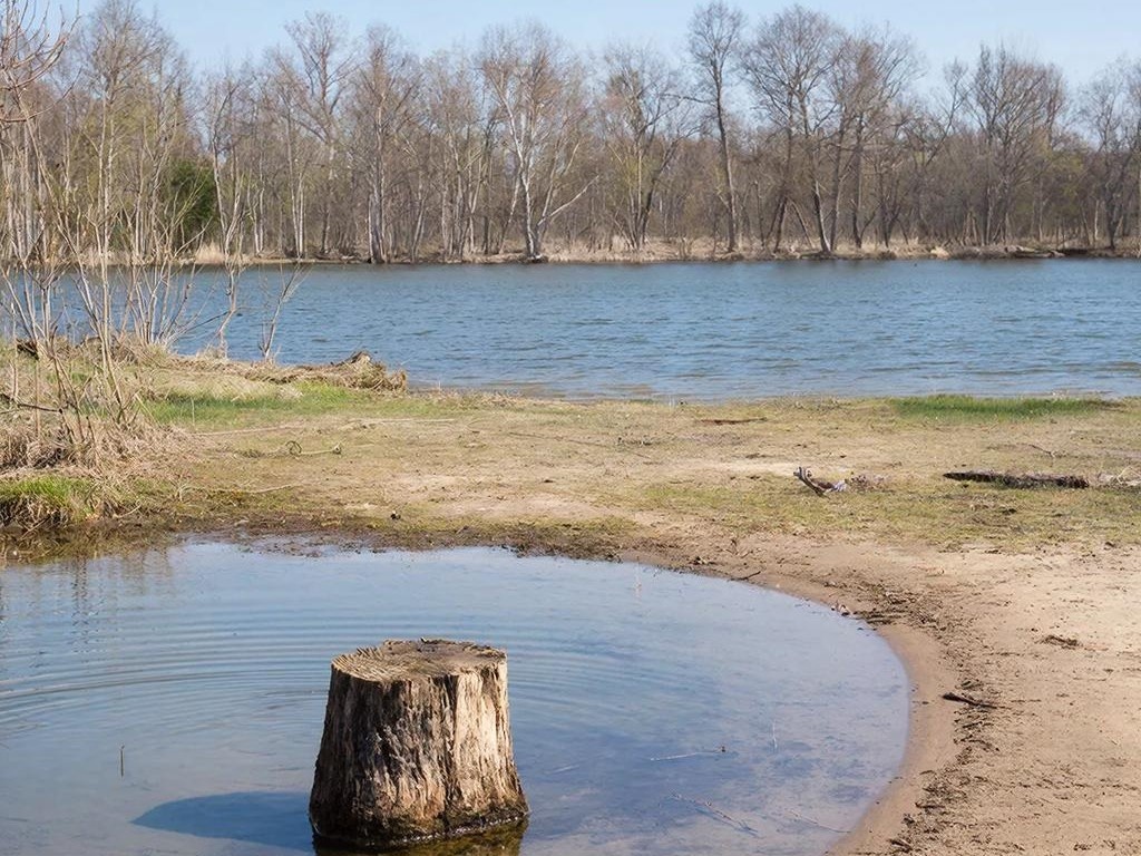 Весной хорошо работают участки, защищенные от холодного ветра