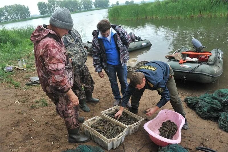 Каков запрет на вылов раков? И сколько они стоят?