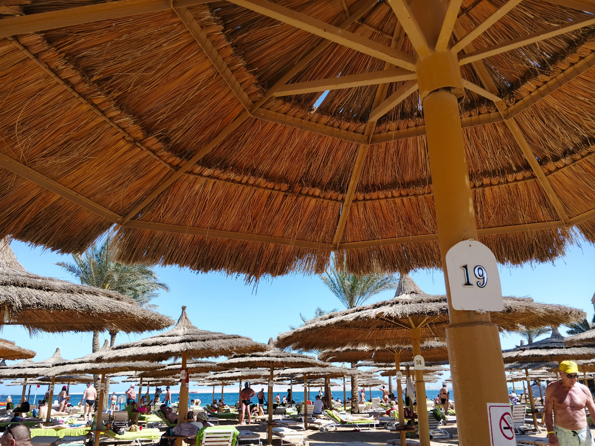 Пляж отеля SEAGULL BEACH RESORT