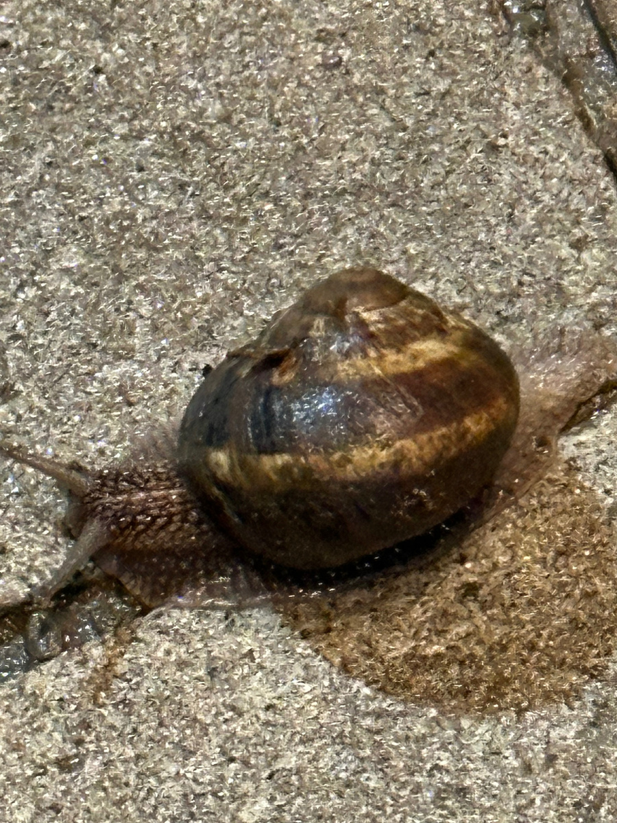 Фото автора .