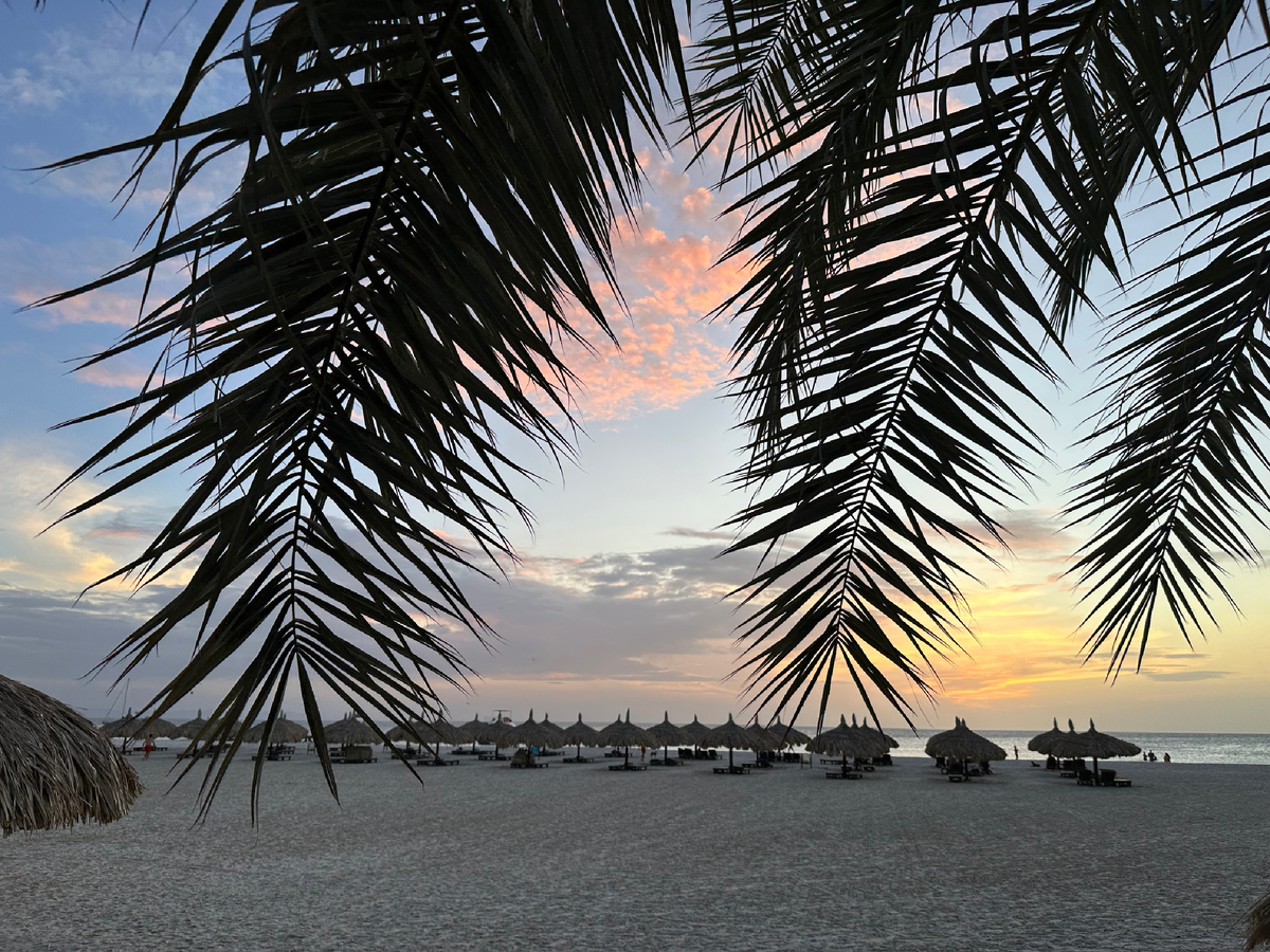 Фото автора .