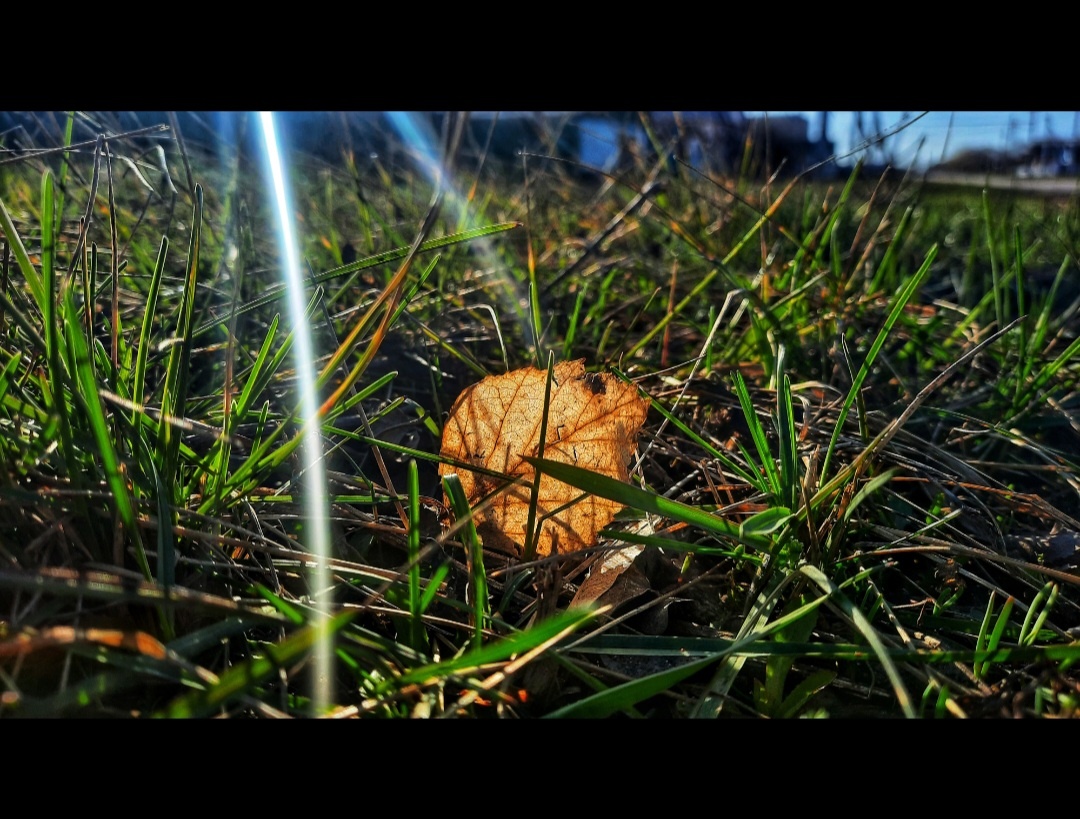 Моё фото в обработке 