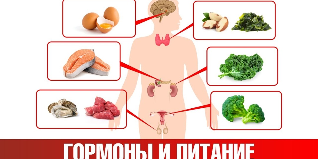 6 продуктов, которые незаметно ломают гормоны после 35