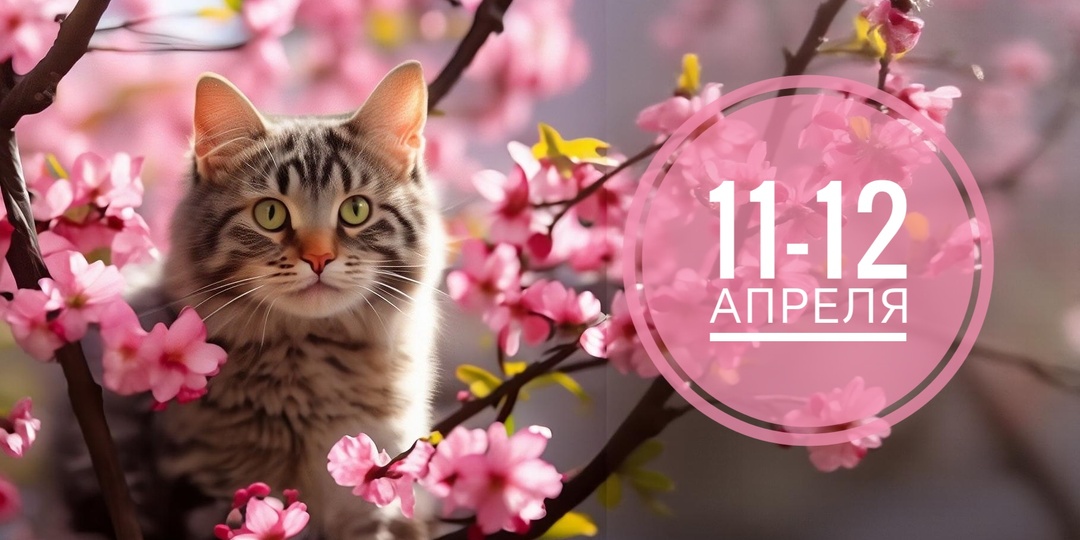 Нумерологический прогноз на 11 и 12 апреля 2026: от мистики к серьезным решениям