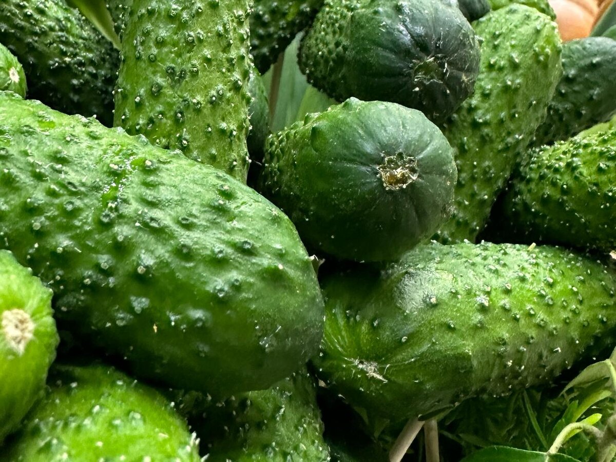 Фото: РБК Юг