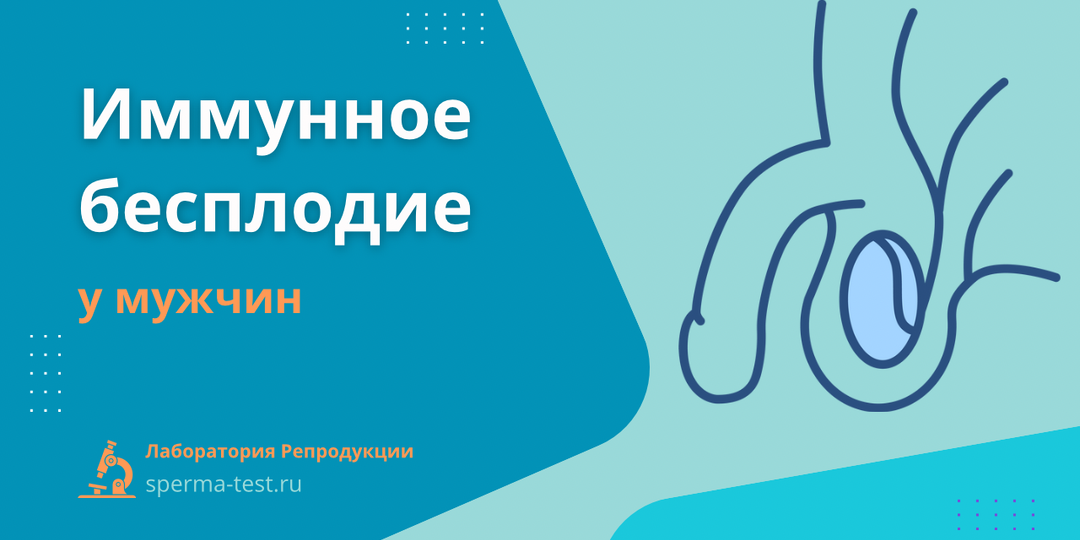 Иммунное бесплодие у мужчин