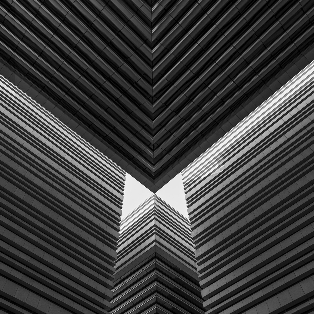 «Straightness and Order» — Zhiyu Zheng (Китай) [любитель]