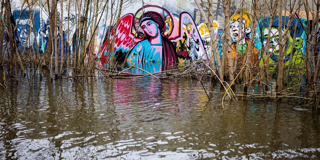 "Кто виноват?"