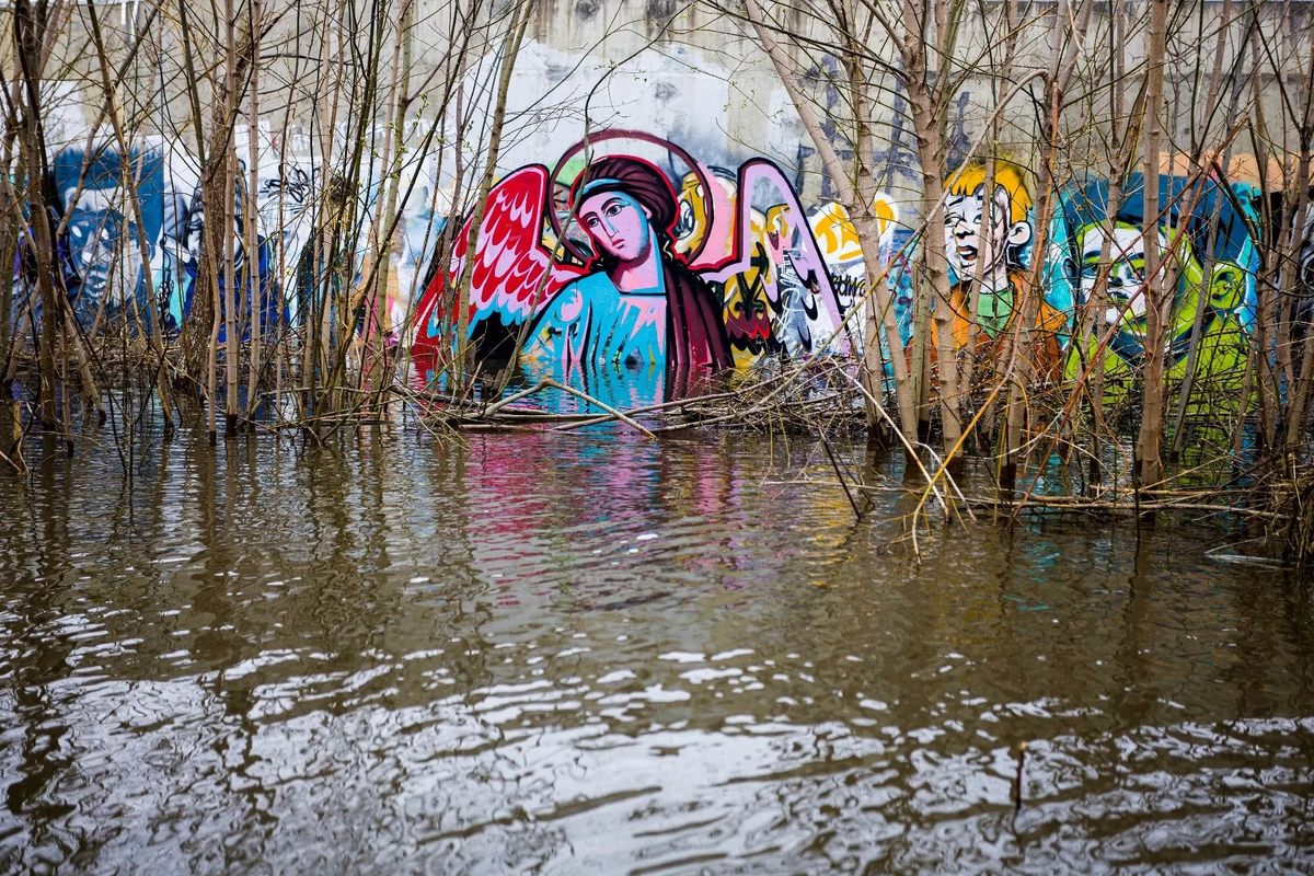 Фото: Александр Панов.