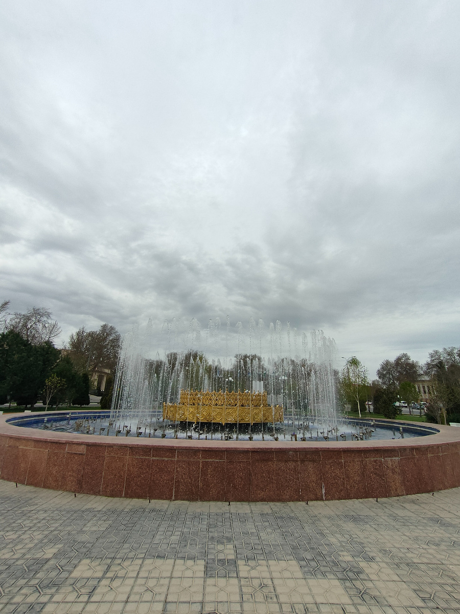 Фото автора.