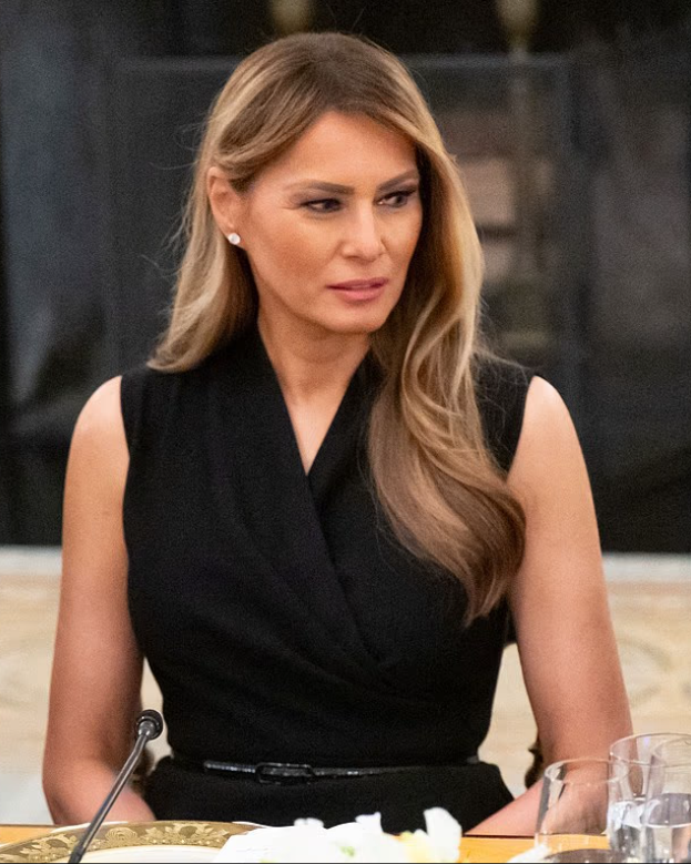 Мелания Трамп на фото выше в парадной столовой Белого дома 4 сентября прошлого года. Она была на обеде для технологических лидеров. 