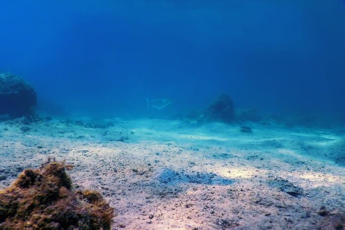 Обложка © Shutterstock / FOTODOM / Allexxandar